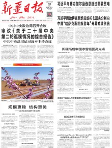 新疆日报(汉)